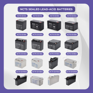 NCTS UPS BATTERY