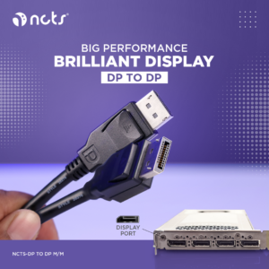 NCTS DP TO DP CABLE SM