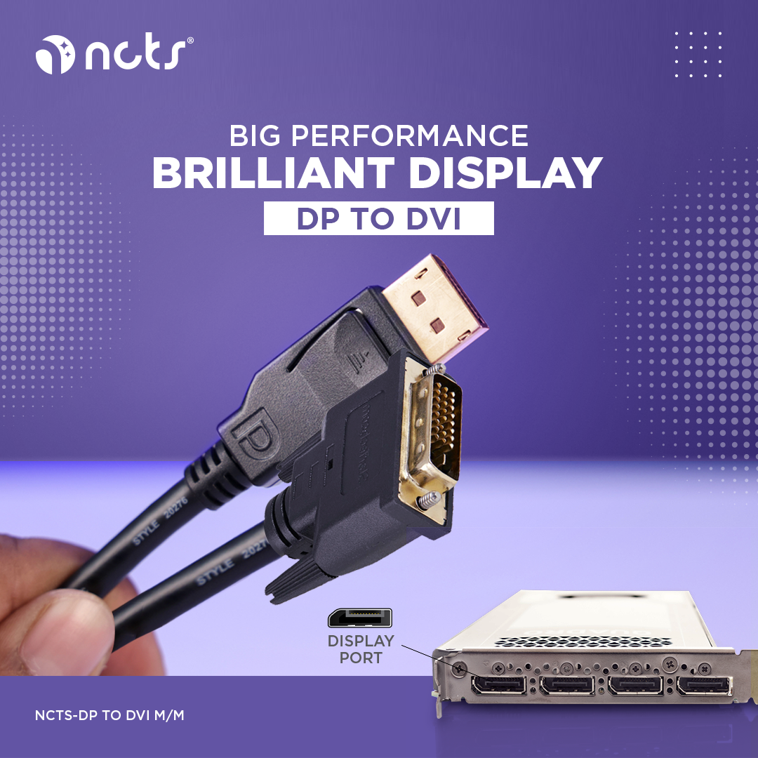 NCTS DP TO DVI CABLE SM